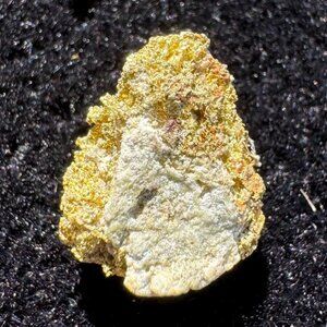 Gold on Quartz - California Native Gold Crystal -  0.65 grams